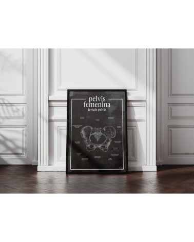 Miednica Żeńska - Plakat Anatomiczny - chalkboard