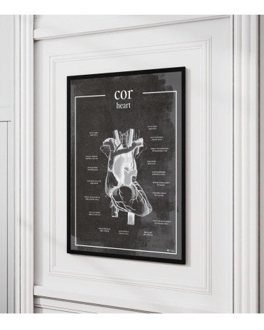 Serce - Plakat Anatomiczny - chalkboard