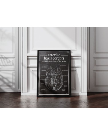 Tętnice Podstawne Mózgu - Plakat Anatomiczny - chalkboard