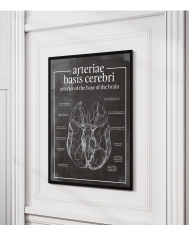 Tętnice Podstawne Mózgu - Plakat Anatomiczny - chalkboard