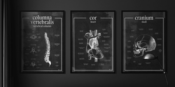 Nauka Spotyka Sztukę: Kreatywne Rozwiązania w Aranżacji Gabinetu Lekarskiego
